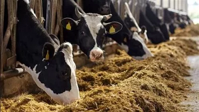 وزير الزراعة يعتمد 235 مليون جنيه لـ352 مستفيدا جديدا من مشروع البتلو