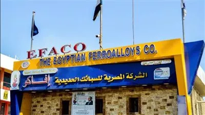 وزير قطاع الأعمال يتابع مستجدات مشروعات تطوير «المصرية للسبائك الحديدية»