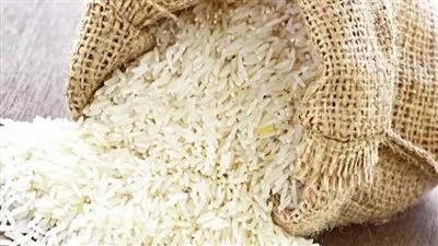 لمنع التلاعب.. «المواد الغذائية» تشيد بالضوابط الجديدة لتداول الأرز