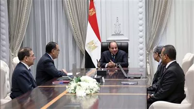 الرئيس السيسي يوجه بتعزيز خطط زيادة مقدار الطاقة المتجددة وتعظيم قيمتها