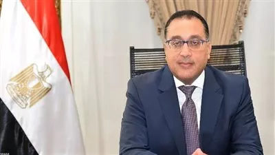 مجلس الوزراء يوافق على منح الرخصة الذهبية لصالح 3 شركات