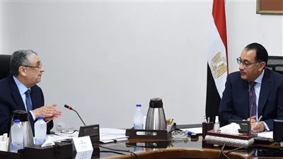 رئيس الوزراء يبحث إتاحة المزيد من المحفزات لمستثمري الكهرباء و الطاقة الجديدة