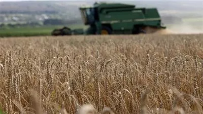 الاتحاد الأوروبي يناشد روسيا تجديد اتفاق حبوب البحر الأسود