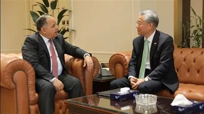 وزير المالية: حريصون على توسيع آفاق الاستثمارات الأجنبية في مصر