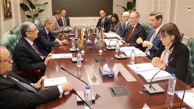 مباحثات مصرية سويدية لتعزيز التعاون في قطاع الكهرباء