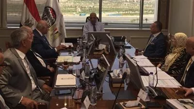 وزير قطاع الأعمال يستعرض فرص تعزيز الشراكة مع القطاع الخاص