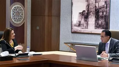 الحكومة تدرس مُحفزات وتيسيرات جديدة لصالح المصريين بالخارج