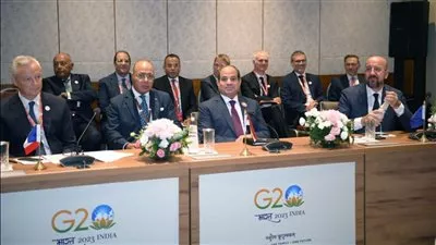 السيسي يشارك في القمة الأفريقية الأوروبية المصغرة على هامش اجتماعات مجموعة العشرين