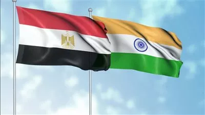 ارتفاع قيمة التبادل التجاري بين مصر  والهند إلى 6 مليارات دولار 