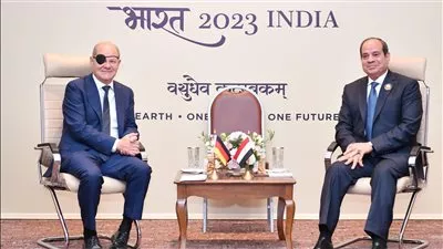 الرئيس السيسي يبحث زيادة الاستثمارات الألمانية في مصر 