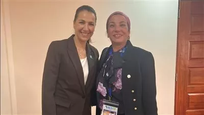 وزيرة البيئة تبحث مع نظيرتها الإماراتية تعزيز التعاون بمجال الاستثمارات الخضراء 