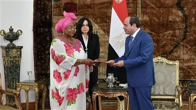 السيسي يبحث مع رئيسة مجلس الشيوخ في غينيا تعزيز التعاون المشترك 
