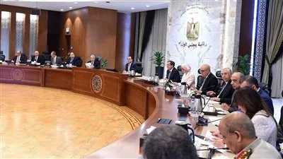 الحكومة: 8 مليارات دولار استثمارات 2066 شركة ذات مساهمة صينية بمصر