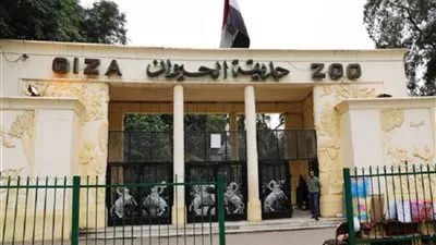رسميا.. بدء تنفيذ مخطط تطوير حديقتي الحيوان والأورمان