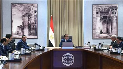 رئيس الوزراء يتابع الموقف التنفيذي لعدد من المشروعات بمحافظة السويس