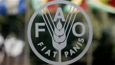 منظمة «فاو»: تراجع أسعار الأغذية العالمية خلال سبتمبر الماضي