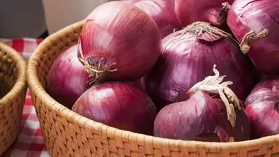 الحكومة تكشف حقيقة إلغاء قرار حظر تصدير البصل لمدة 3 أشهر