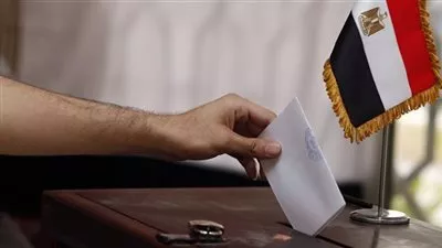 الجريدة الرسمية تنشر قرار قيد منظمات المجتمع المدني بقاعدة بيانات متابعة الانتخابات