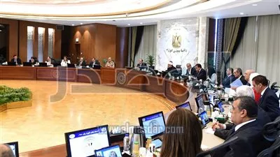 الحكومة توافق على تخصيص 9 أفدنة بالمنيا لإقامة صوامع غلال