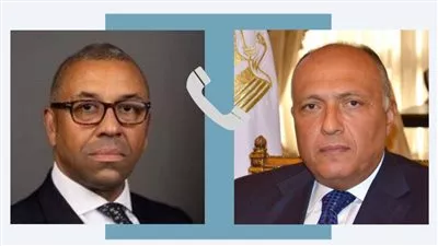 وزير الخارجية يبحث من نظيره البريطاني جهود خفض التصعيد في الأراضي الفلسطينية