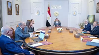 السيسي يبحث مع رئيس «دانيلي» الإيطالية خطط الشركة للتوسع في مصر