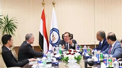 مصر تدرس تأسيس شركة لإنتاج وقود الطائرات المستدام