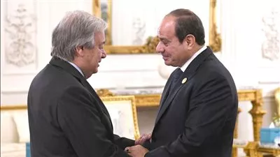 أمين عام الأمم المتحدة أمام قمة القاهرة للسلام: مظالم الشعب الفلسطيني مشروعة