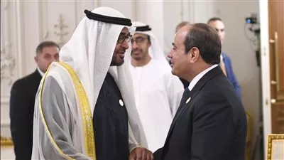 رئيس الإمارات: نعمل على الوقف الفوري لإطلاق النار بغزة