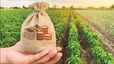 الإحصاء: 30% زيادة في القروض الاستثمارية قصيرة الأجل للمزارعين