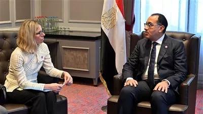 مدبولي يؤكد أهمية دعم المؤسسات المالية الدولية للبلدان النامية في مواجهة الأزمات العالمية