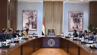 مدبولي يتابع إجراءات خفض معدلات التضخم وتوفير السلع الأساسية وسد الفجوة الدولارية