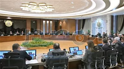 «الوزراء» يوافق على إنشاء فرع للبنك الأهلي المصري بنادي المدينة المنورة بالأقصر