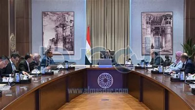 رئيس الوزراء يتابع متطلبات عدد من المصانع القائمة وتوسعاتها بمحافظة بورسعيد