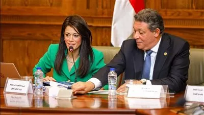  المشاط: 1.7 مليار دولار حجم التمويلات الميسرة مع الجانب الصيني