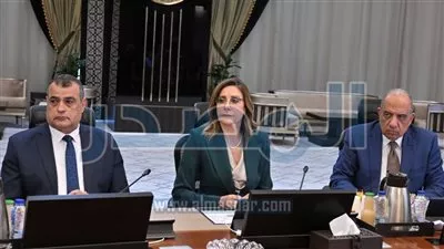  مد العمل بقرار توفيق أوضاع الأجانب في مصر 3 أشهر