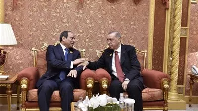 السيسي وأردوغان يؤكدان ضرورة الوقف الفوري للعمليات العسكرية في قطاع غزة 