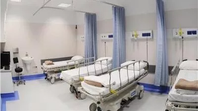 الحكومة تكشف حقيقة ظهور إصابات بسلالة جديدة من إنفلونزا الطيور 