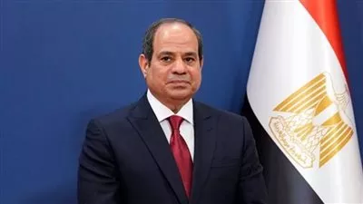 السيسي يوجه بسرعة التنسيق لاستقبال الأطفال حديثي الولادة من قطاع غزة