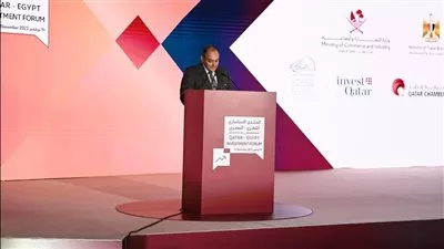 وزير التجارة والصناعة يفتتح المنتدى الاقتصادي الاستثماري المصري القطري