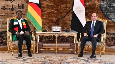 السيسي ونظيره الزيمبابوي يؤكدان الحرص على دفع العلاقات الثنائية إلى آفاق أرحب