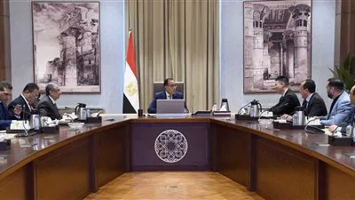 «لونجي» الصينية تستهدف إقامة مصنع للهيدروجين الأخضر في مصر