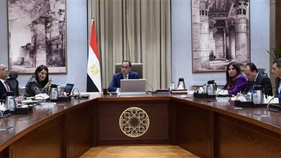 رئيس الوزراء يتابع جهود برنامج «نوفي» لتوفير التمويلات الإنمائية المحفزة للقطاع الخاص 