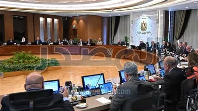 «الوزراء» يوافق على اتفاقية إزالة الازدواج الضريبي بين مصر وكرواتيا