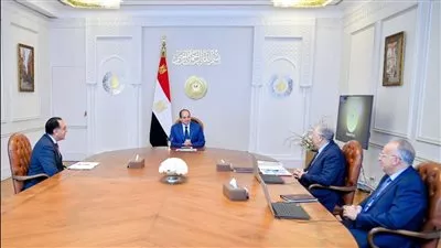 السيسي يوجه بتوفير جميع العوامل الداعمة لنجاح المشروعات القومية بقطاعي الزراعة والري 