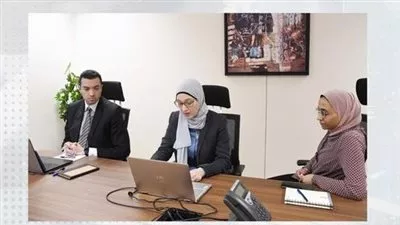 «التخطيط» تعقد ورشة عمل حول «تحفيز التحول نحو تخضير الاستثمارات الوطنية» 