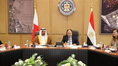 مصر والبحرين يتفقان على تعميق أوجه التعاون في الاستثمار المباشر بقطاعات استراتيجية وحيوية