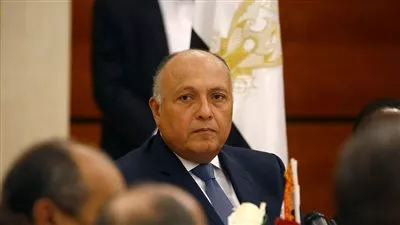 وزير الخارجية: استقرار الشرق الأوسط لن يتحقق إلا بالتسوية العادلة للقضية الفلسطينية