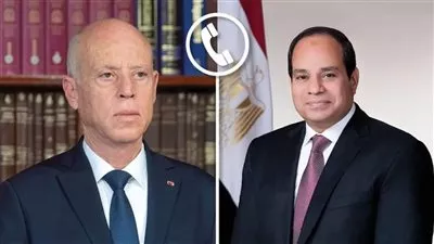 الرئيس السيسي ونظيره التونسي يؤكدان حرصهما على تعزيز علاقات التعاون المشترك