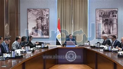 شركة عالمية تعرض إنشاء مشروعا لإنتاج الأمونيا الخضراء في مصر باستثمارات مليار دولار