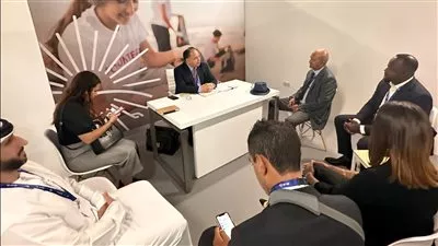 وزير المالية يبحث مع مؤسسة التمويل الإفريقية توفير تمويلات ميسرة للقطاع الخاص المصري
